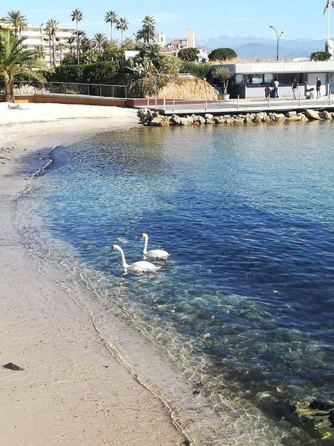 Studio Standing Bord De Mer Et Vue Antibes Dış mekan fotoğraf